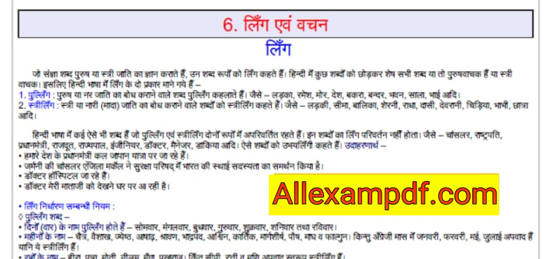 Hindi Grammer Notes (लिंग और वचन) PDF