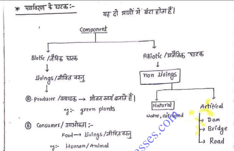 Important Environment Notes In Hindi PDF